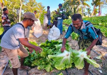 Akses Air Bersih Lebih Mudah, Perekonomian Warga Desa Pana di NTT Ikut Mengalir