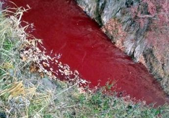 Ngeri dan Bikin Merinding! Sungai di Korea Selatan ini Mendadak Berubah Warna Jadi Merah, Ternyata Ditemukan Mayat-mayat Berserakan di Sejumlah Truk, Apa yang Terjadi?