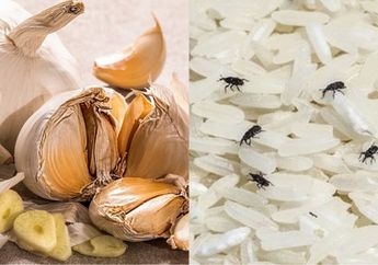 Modalnya Cuma Bawang Putih, Beras di Rumah Nggak Bakal Kutuan Lagi Meskipun Disimpan Berbulan-bulan, Ibu-ibu Wajib Simak Nih!