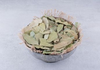 Status Bukan Cuma Bumbu Dapur Penghuni Lemari, Daun Salam Malah Justru Bisa Bikin Wajah Jadi Cantik Menawan, kok Bisa?