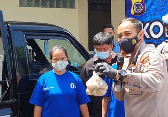 Polisi Gerebek Tempat Pembuat Bakso dari Ayam Tiren yang Meresahkan Masyarakat Bantul, Yuk Kenali Ciri-ciri Ayam Sehat dan Ayam Tiren Supaya Nggak Tertipu Lagi