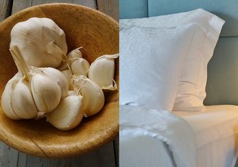 Bukan Buat Usir Vampir! Coba Taruh Bawang Putih di Bawah Bantal, Jangan kaget Rasakan ini saat Bangun Tidur