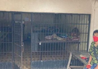 Upaya Evakuasi Pemuda di 'Kerangkeng' Milik Bupati Langkat Sempat Ditolak Mentah-Mentah, Warga Setempat Akhirnya Blak-blakan Ungkap yang Terjadi, Sebut Banyak yang Kabur Karena Hal Ini