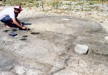 23.000 Tahun yang Lalu, Banyak Pilihan Makanan untuk Manusia di Israel