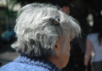 Uban Dijamin Auto Sungkem, Daun Kari dan Deretan Bahan ini Disebut Ampuh Usir Rambut Putih di Kepala, Anti Gagal!