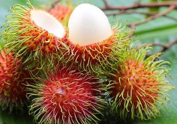 Sudah Masuk Musimnya, Profesor IPB Bocorkan Cara Memilih Rambutan yang Manis, Ternyata Nggak Selalu yang Warnanya Merah!