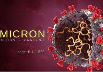 Ngeri Banget! Kasusnya Mencapai 4.515 dan Terus Meningkat, Begini Panduan Pengobatan Pasien Covid-19 Varian Omicron di Rumah