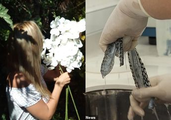 Lakukan Operasi Rekonstruksi Vagina Buatan dengan Kulit Ikan, Wanita ini Ceritakan Aktivitas Intimnya yang Memuaskan