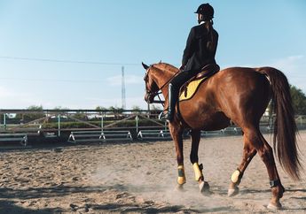 Arti Mimpi Menunggang Kuda Simbol Keburukan, Sebaiknya Waspada Sebab Ada Masalah Hingga Tragedi Besar Ini Bakal Terjadi dalam Hidup