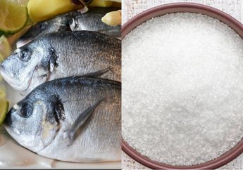 Bertahun-tahun Akhirnya Terbongkar, Coba Balurkan Ikan dengan Gula Sebelum Digoreng, Jangan Kaget Masakan Anda Bikin Ketagihan Satu Rumah