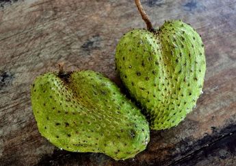 Gak Cuma Sekedar Buah Segar, Sirsak Justru Bisa Bikin Asam Urat Sungkem hingga Lenyap, Ternyata Begini Caranya!