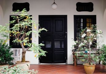 Rezeki Mengalir Tanpa Putus, Syaratnya Cuma Pajang 3 Tanaman Hias ini di Depan Pintu Rumah!