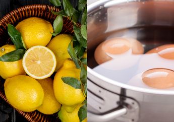 Emak-emak Harus Tahu! Mulai dari Air Lemon sampai Cara Simpan, ini Tips dan Trick Olah Telur Agar Tetap Nikmat saat Disajikan