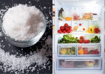 Heran Lihat Mertua Sering Gosok-gosok Kulkas dengan Air Garam, Saat Coba Sendiri di Rumah Wanita Ini Malah Ketagihan, Efeknya Luar Biasa!