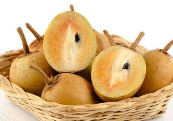 Rutin Konsumsi Sawo Berikan Manfaat Kesehatan Tak Terduga. Cobain Yuk!