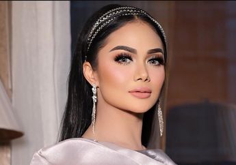 Berstatus Diva Rangkap Anggota DPR RI Bergaji Rp 66 Juta, Krisdayanti Pamer Kesibukannya Jadi Wakil Rakyat, Istri Raul Lemos Bocorkan Suasana Rapat Paripurna di Senayan