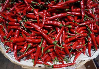 Gila! Harga Cabai Makin Pedas hingga Tembus Rp 100 Ribu Lebih per Kilogram, Berikut Alternatif Pengganti Rasa Pedas Selain Cabai