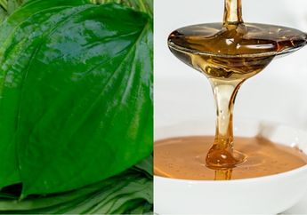 Mulai Hari Ini, Coba Campur Rebusan Daun Sirih dengan Madu Lalu Minum Airnya, Anda Akan Kaget Tubuh Nggak Pernah Sakit Lagi