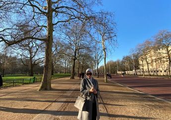 Putuskan Berhenti Jadi Selebritis Setelah Sang Suami Kepergok Punya Bilik Asmara di Bui, Begini Kondisi Inneke Koesherawati