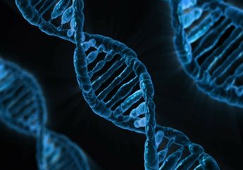 Jadi Penemuan Penting, Ini Sejarah DNA yang Ditemukan oleh James Watson dan Francis Cric