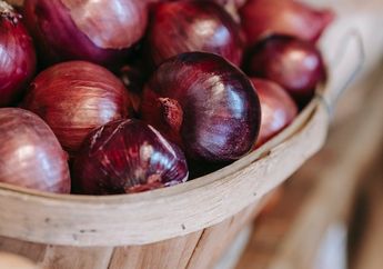 Arti Mimpi Warna Merah Penuh Peringatan, Isyaratkan Kekuatan hingga Karakter  yang Tak Terduga