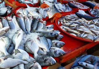 Jangan Sampai Satu Keluarga Sakit-sakitan, Tolong Perhatikan 7 Hal Ini Sebelum Beli Ikan di Pasar, Ahli Peringatkan Hal Penting