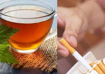 Para Perokok Pasti Bahagia! Minum Air Rebusan Daun Ini Mulai Detik Ini, Jangan Kaget Dengan Efek Luar Biasa Untuk Jaga Kesehatan Paru-Paru