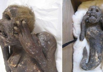 Viral Mumi Putri Duyung dari Samudra Pasifik yang Misterius, Pakar dan Ilmuwan Berikan Komentar serta Ungkap Hal Mengejutkan Ini!