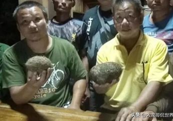 Bak Ketiban Durian Runtuh Usai Sembelih Babi Miliknya, Pria Ini Tajir Mendadak Gegara Temukan Benda Langka Berbulu Seharga Rp 56 Miliar di dalam Tubuh si Hewan