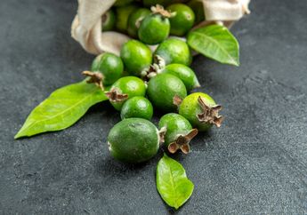 Mending Skincare Mundur Alon-alon, Ternyata Hanya Modal Olahan Daun Jambu Biji Bisa Punya Manfaat hingga Bikin Flek Hitam Minggat Sempurna, ini Caranya