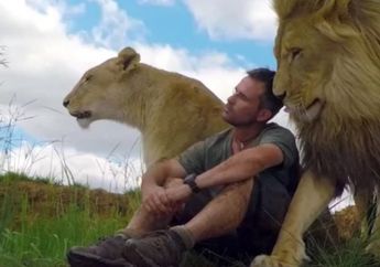 'Meg dan Amy Adalah Belahan Jiwaku' Bak Reuni, Momen Tak Terduga Pertemuan Dua Singa dengan Tuannya Usai 7 Tahun Berpisah Ini Manis Banget