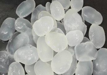 Jangan Mau Ditipu Pedagang! Begini Tips Mudah Pilih Kolang-kaling Segar Tanpa Bahan Pengawet, Ternyata Penting Perhatikan Hal Ini