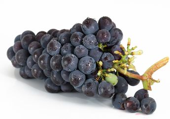 Arti Mimpi Anggur Ungu dan Makan Buah Anggur Ternyata Jadi Pertanda Baik Ini, Simak Penjelasannya
