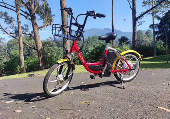 Sensasi Bersepeda Mengelilingi Kebun Raya Cibodas! Sejuknya Udara Pegunungan hingga Indahnya Pemandangan Taman Sakura