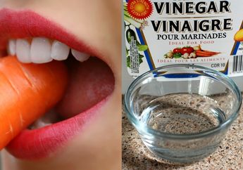 Gak Usah Wara-wiri Keluar Duit ke Dokter Gigi, Coba pakai Cara ini untuk Bersihkan Karang Gigi sampai Rontok, ini Penjelasannya