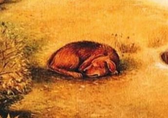 Tes Kepribadian Lewat 2 Gambar Ilusi Optik Ini, Imajinasi Pertama yang Muncul Bisa Ungkap Karakter dan Perasaan Hatimu!