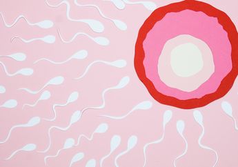 Ampuh Atasi Ketidaksuburan, Para Pria Harus Mulai Konsumsi 9 Makanan Ini Agar Sperma Makin Gesit dan Berlimpah