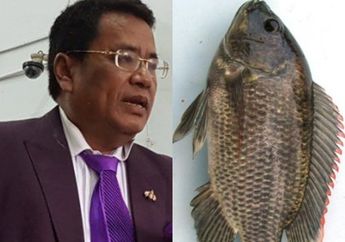 Berbekal Rutin Mengonsumsi Sup Ikan Mujair, Hotman Paris Sukses Jadi Pengacara Papan Atas, Kok Bisa?