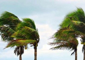 Arti Mimpi Angin Kencang Ternyata Punya Makna Buruk, Bisa Jadi Anda Sedang Tertekan di Dunia Nyata, Waspadalah!