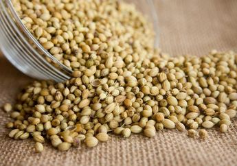 Punya Manfaat Hybrid Hilangkan Kolesterol sampai Kalahkan Skincare, Cukup Pakai Olahan Ketumbar Juga Bikin Wajah Bercahaya dan Anti Kerut