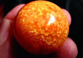 Beli Siput Laut Rp 32 Ribu Bonus Rezeki Bejibun, Wanita Ini Tajir Mendadak Usai Temukan Benda Mirip Telur Ayam di Dalam Cangkang Seharga Rp 480 Juta, Begini Faktanya!