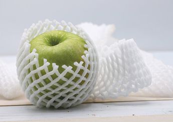 Ibu-ibu Harus Tahu, Jaring Buah Jangan Lansung Dibuang karena Punya Manfaat Hebat ini, Salah Satunya Jadi Ladang Uang!