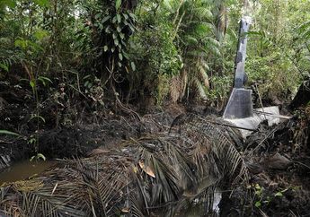 Misteri Kapal Selam Rp8 Miliar yang Tak Sengaja Ditemukan di Tengah Hutan, Ternyata Simpan Sisi Gelap di Baliknya.