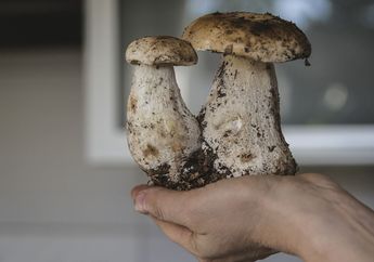 Arti Mimpi Makan Makanan Kotor Isyaratkan tentang Ketidakmampuan Atasi Satu Hal Mendasar Ini