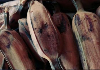 Langsung Comot di Angkringan Habis Tarawih, Cuma Makan Pisang Rebus Ternyata Malah Punya Manfaat Bagus untuk Buka Puasa, kok Bisa?