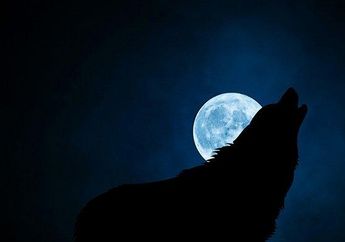 Arti Mimpi tentang Manusia Serigala, Konon Simbol Rasa Bersalah, Tertekan, dan Trauma yang Menghadang Hidup, Sebaiknya Lakukan Hal Ini!