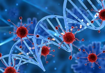 Serigala Berbulu Domba Kenikmatan Makanan ini Justru Bisa Jadi Sebab Penyakit Kanker Darah, ini Penjelasannya