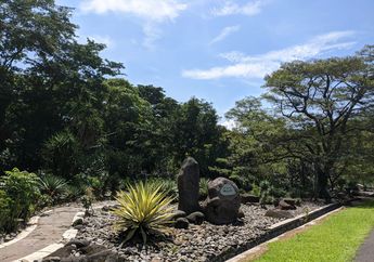 Kebun Raya Purwodadi Jadi Pilihan Untuk Wisata Seru Keluarga, Intip Juga Marchendise yang Jadi Ciri Khasnya!