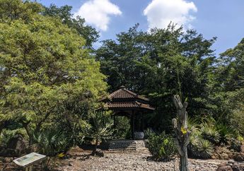 Tak Perlu ke Amerika Utara, Keindahan Tumbuhan Khas Meksiko Ada di Kebun Raya Purwodadi