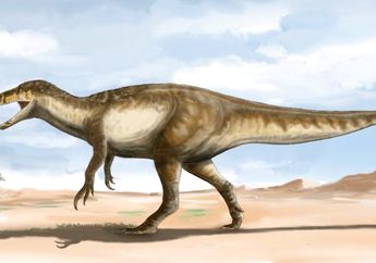 Maip macrothorax, Spesies Baru Megaraptor Dengan Berat 5 Ton